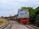 VLI 6184